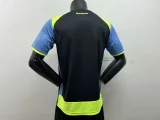 2024-25 Botafogo blue training jersey