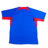 2024-25 Slovakia home soccer jersey