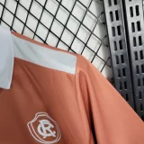 Remo 2023-24 training service
