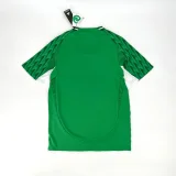 2024-25 Palmeiras green special edition jersey