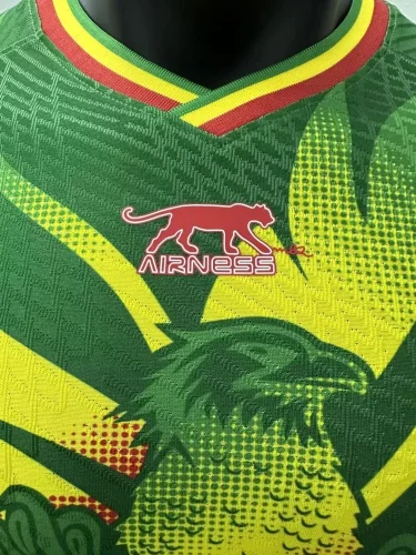 2023 Mali away green player version jersey