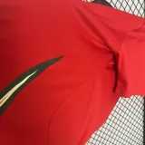 2024 Wales home red soccer jersey