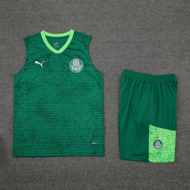 palmeiras 2024 training vest sets