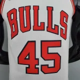 75th Anniversary Jordan #45 Bulls White