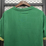 2025-26 Mexico green special jersey