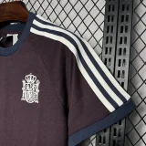 Spain 2024-25 Euro style Jersey