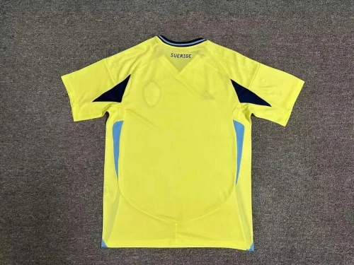 Sweden 2024-25 home