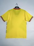 Romania 1994 home