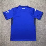 Hoffenheim 2024-25 Home