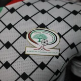 2024-25 Palestinian white player version(The player version is more slim fit, it is recommended to buy one size larger)