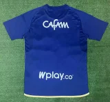 2024-25 Hoffenheim home soccer jersey
