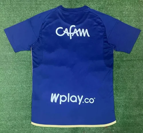 2024-25 Hoffenheim home soccer jersey