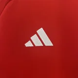 2024 Wales home red soccer jersey
