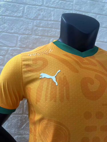 2024-25 lvory Coast  home player version jersey (The player version is more slim fit, it is recommended to buy one size larger)