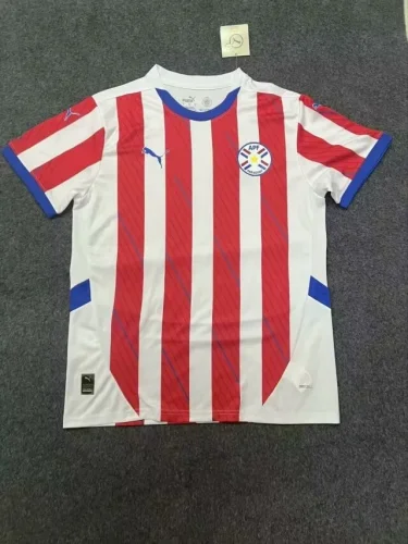 paraguay 2024-25 home