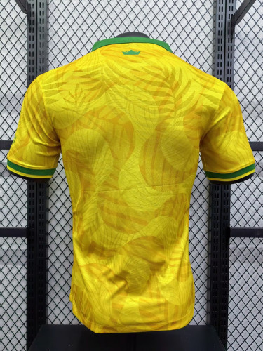 2024-25 Brazil Yellow Special Player version jersey  (The player version is more slim fit, it is recommended to buy one size larger)