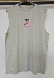 2025-26 Bayern gray Vest
