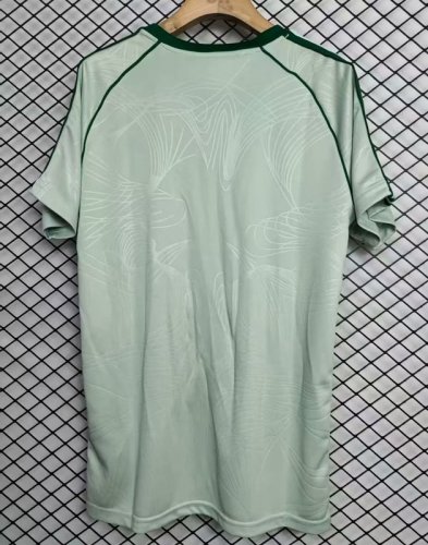 2025-26 Celtic green special jersey