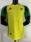 25-26 Jamaica home player version jersey