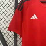 2024 Wales home red soccer jersey