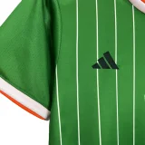 2024-25 Celtic green Commemorative edition