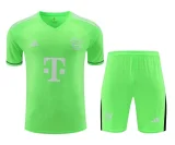 Bayern 2023-24 Green goalkeeper kit