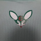 2023-24 Algeria Green Player Edition Jersey