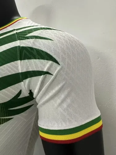 2023 Mali home white player version jersey