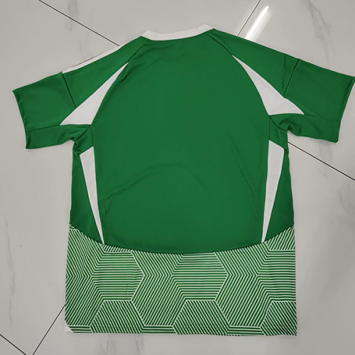 Maccabi Haifa   2024-25 home