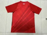 paranaense 2024-25 home