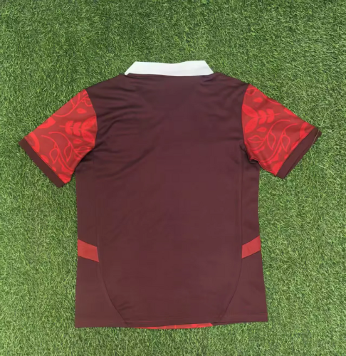 2025-26 Portugal special version red soccer jersey size
