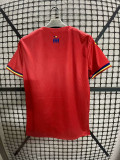 2025-26 Romania away jersey