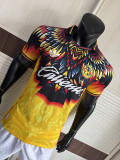 25-26 America yellow special player version jersey