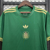 2025-26 Mexico green special jersey