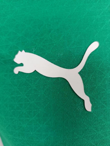 25-26 AC Milan green player version POLO