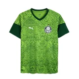 2024-25 Palmeiras Training clothes Green