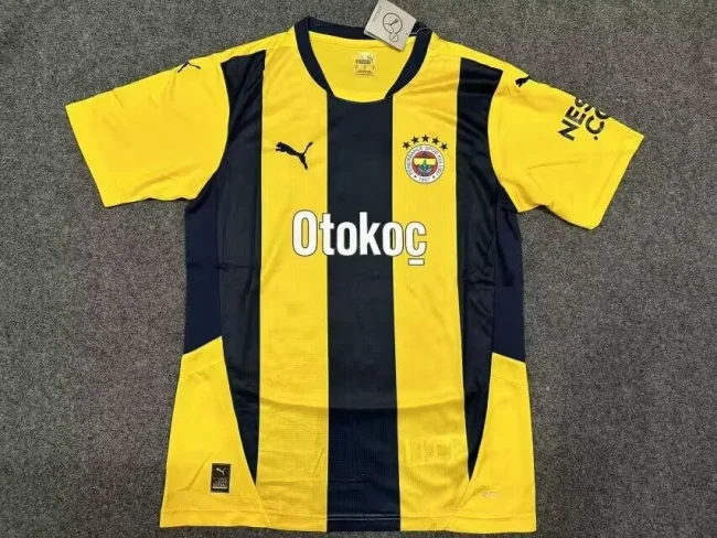 2024-25 Fenerbahce home