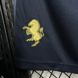 2024-25 Juventus third away shorts