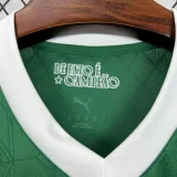 2025-26 Palmeiras home jersey