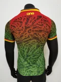2023-24 Cameroon green player version(The player version is more slim fit, it is recommended to buy one size larger)