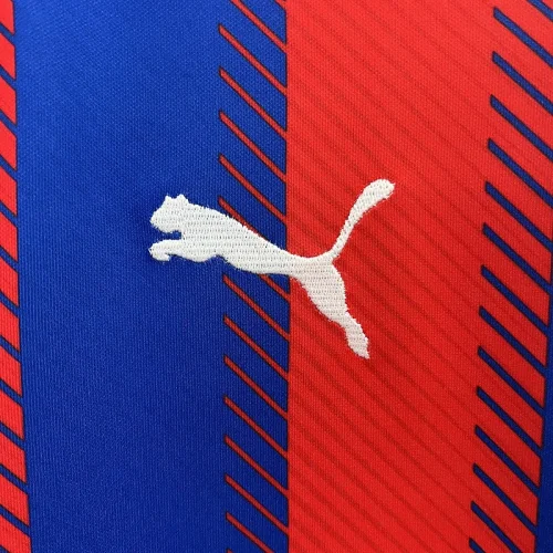 2024-25 Cerro Porteno Home