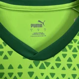 2024-25 Palmeiras Training clothes Green