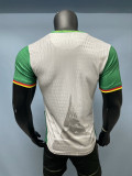 2025-26 Cameroon white player version jersey   (The player version is more slim fit, it is recommended to buy one size larger)