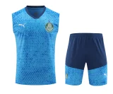 palmeiras 2024 training vest sets