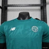 2023-24 Roma Green Special Edition Player Version(The player version is more slim fit, it is recommended to buy one size larger)