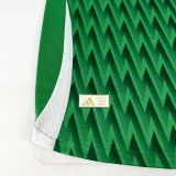 2024-25 Palmeiras green special edition jersey