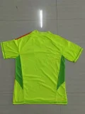 Bayern Munich 2024-25 goalkeeper soccer jerseys