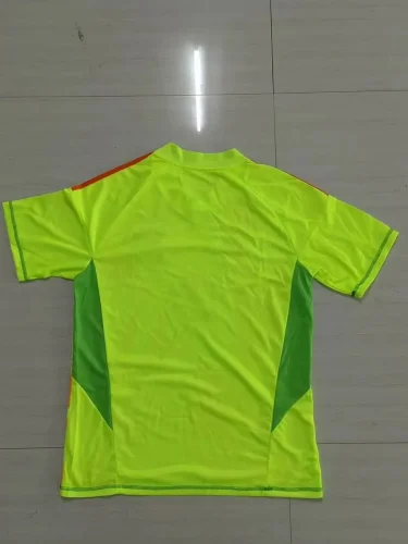 Bayern Munich 2024-25 goalkeeper soccer jerseys