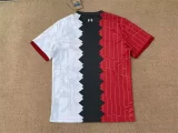 Liverpool 2024-25 colors training shirt