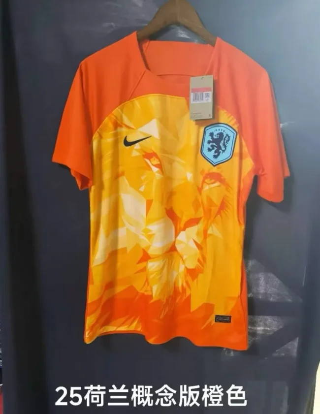 2024-25 Netherlands Orange training suit